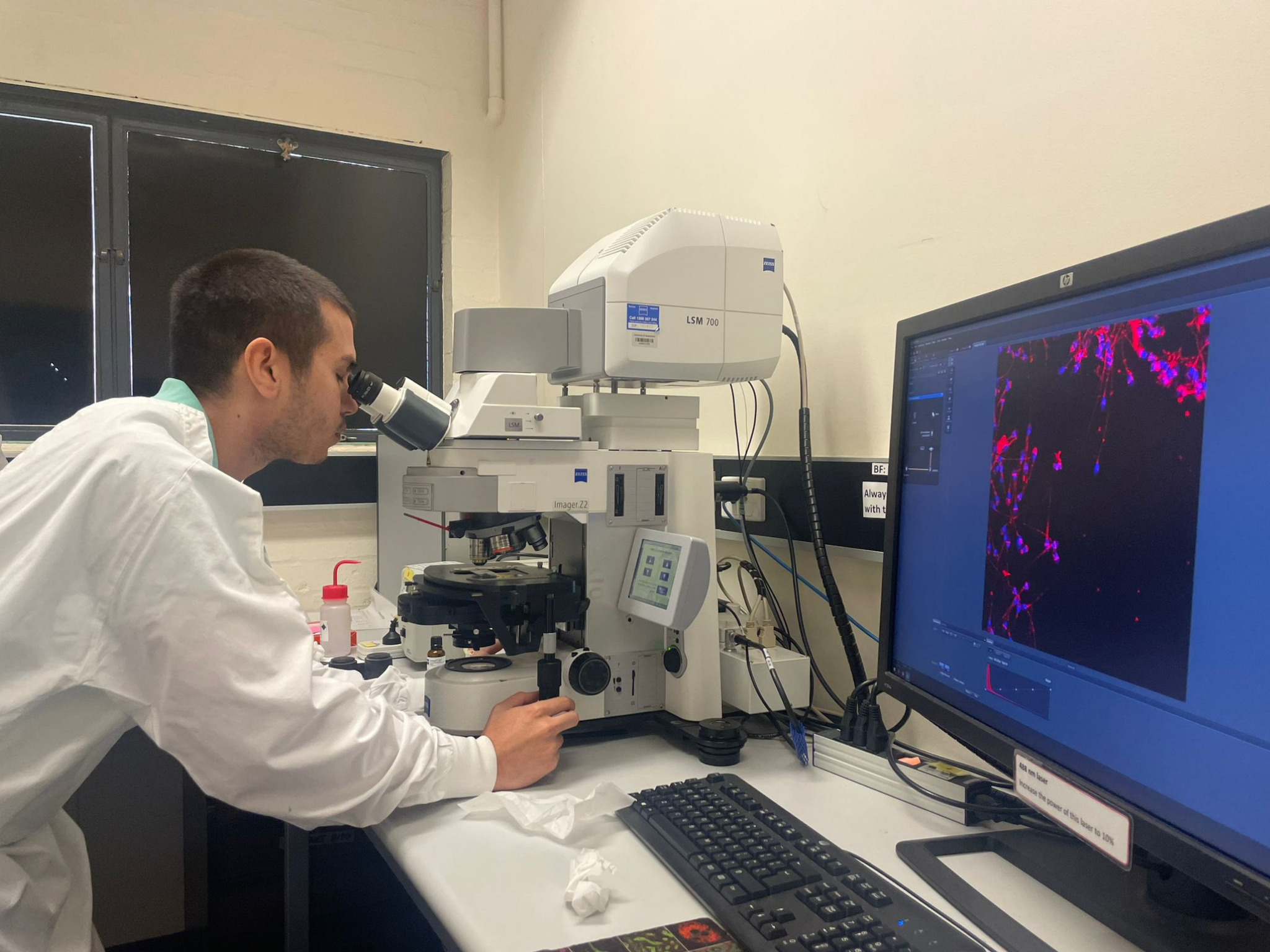 DE LA FCV UNA A LA UNIVERSIDAD DE QUEENSLAND: EGRESADO DE LA FCV UNA, LIDERA INVESTIGACIÓN INTERNACIONAL SOBRE FERTILIZACIÓN IN VITRO DE CANGUROS