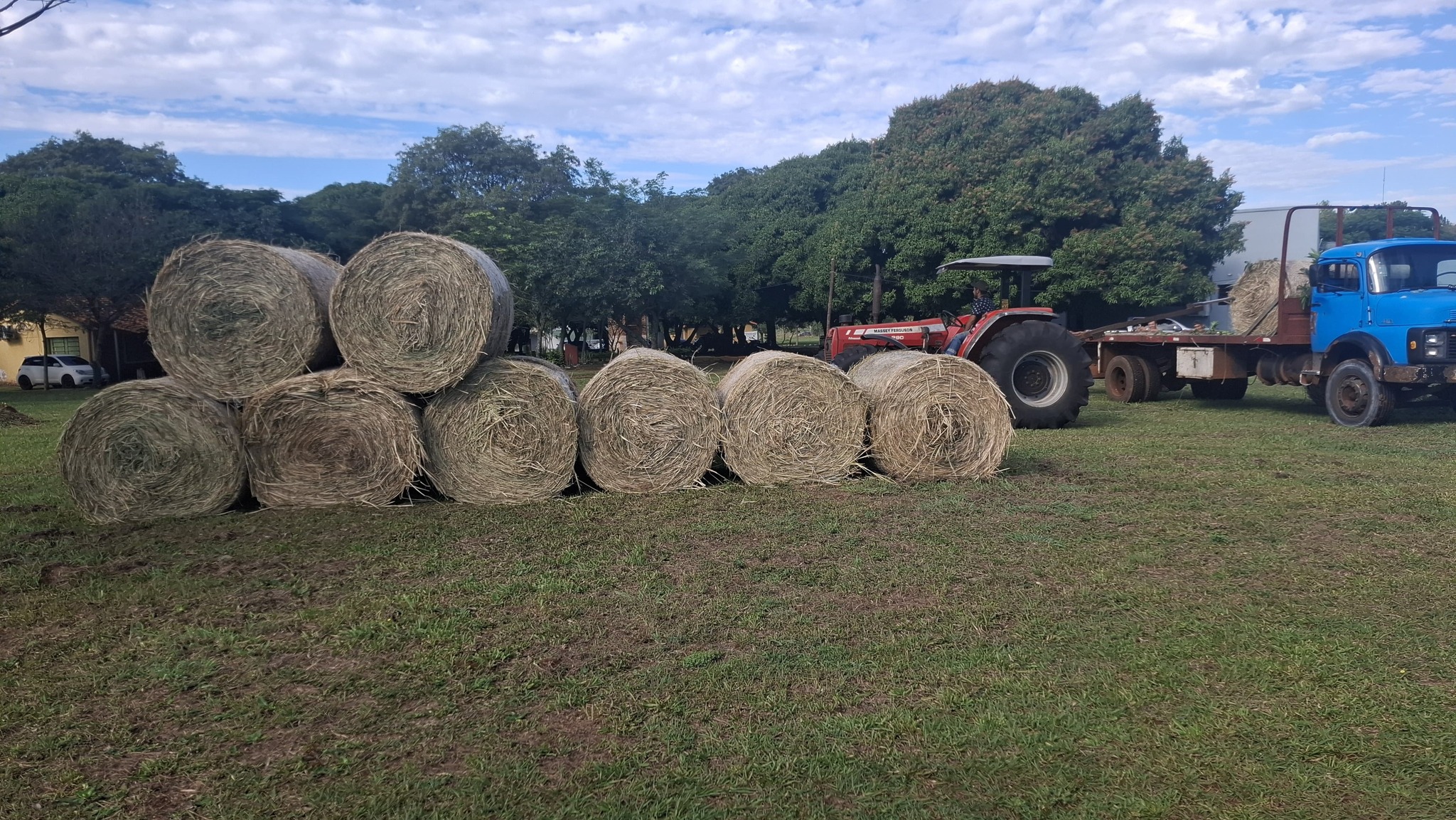 PRODUCCIÓN DE HENO EN LA FCV UNA FILIAL SAN JUAN BAUTISTA BENEFICIA A ANIMALES DE LA GRANJA Y PEQUEÑOS PRODUCTORES DE LA ZONA