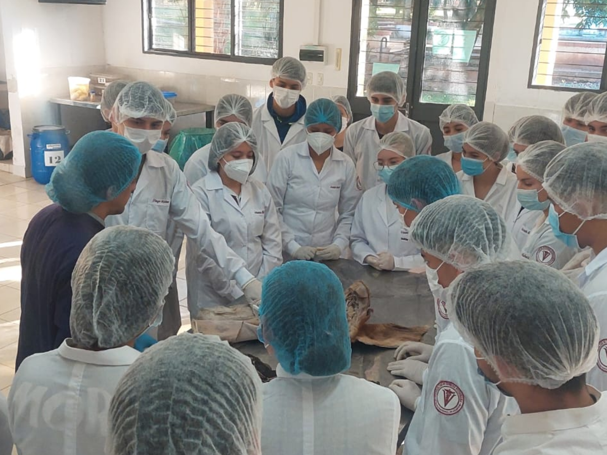 ESTUDIANTES DE LA FILIAL SAN ESTANISLAO PARTICIPARON DE CLASES PRÁCTICAS EN EL DEPARTAMENTO DE CIENCIAS MORFOLÓGICAS
