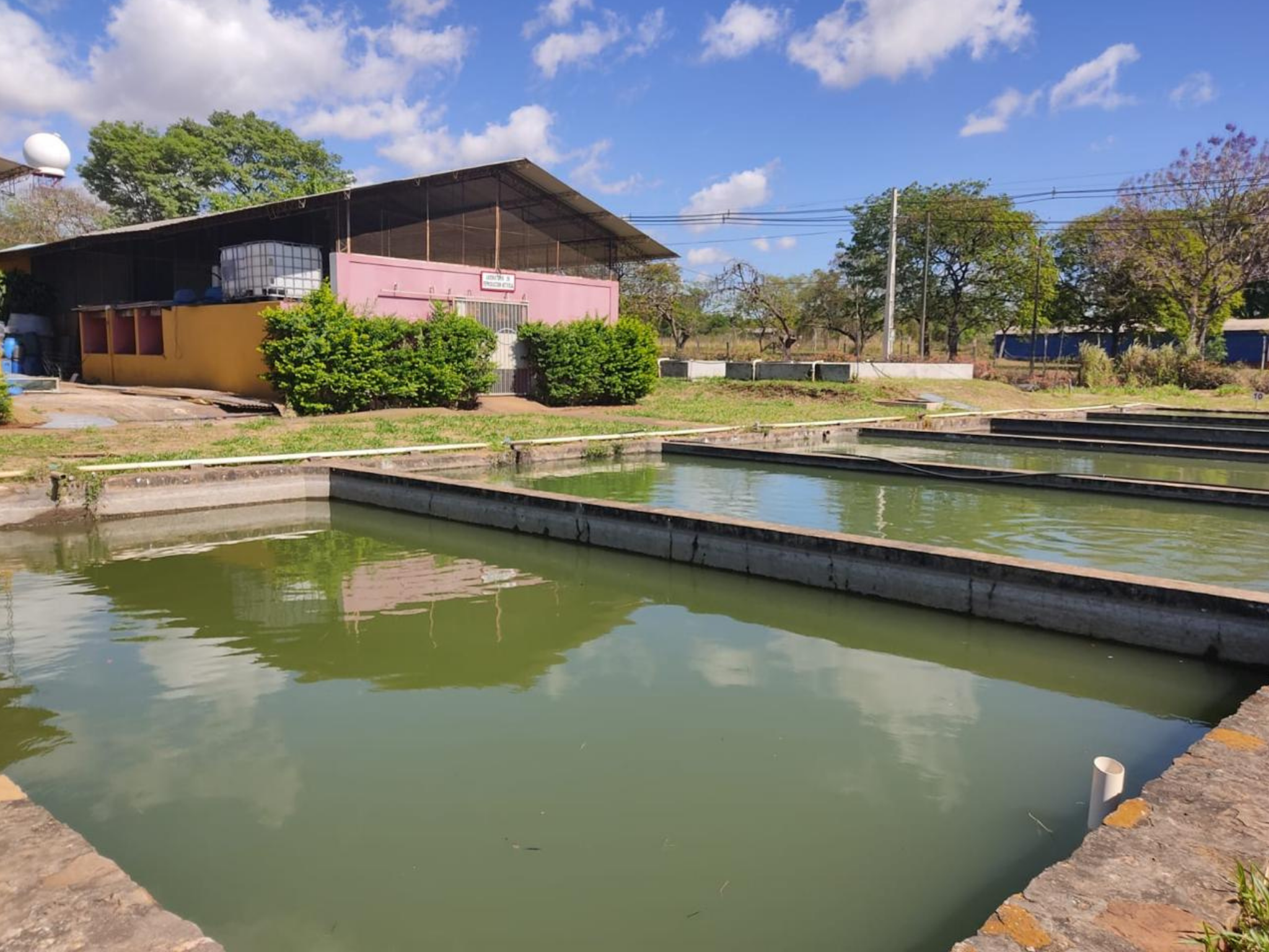 CENTRO INTEGRAL DE ACUICULTURA DE LA FCV-UNA OBTIENE LICENCIA AMBIENTAL DEL MADES