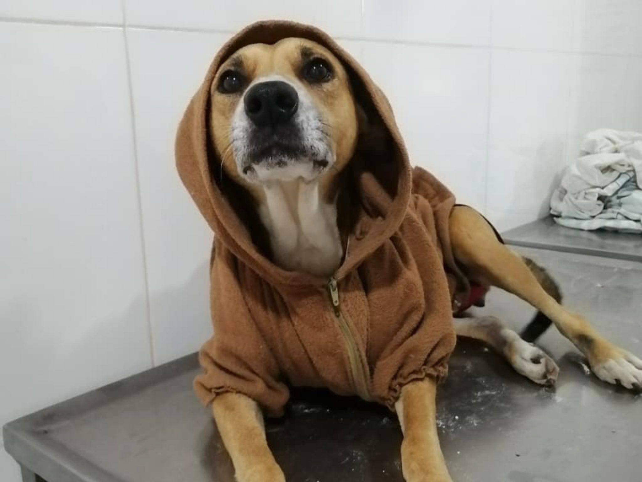 EN DÍAS FRÍOS, CUIDEMOS A QUIENES NO PUEDEN ABRIGARSE SOLOS
