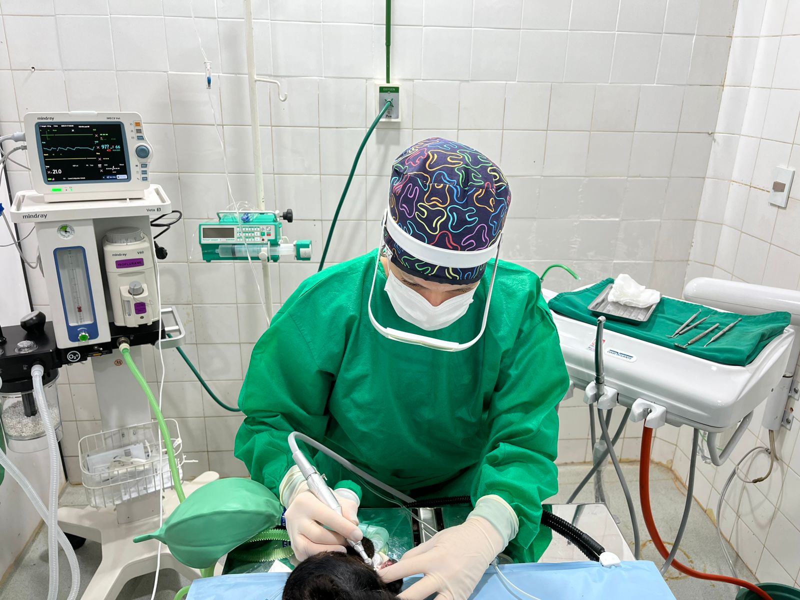 LA FCV UNA HABILITA SERVICIO DE ODONTOLOGÍA EN SU HOSPITAL VETERINARIO