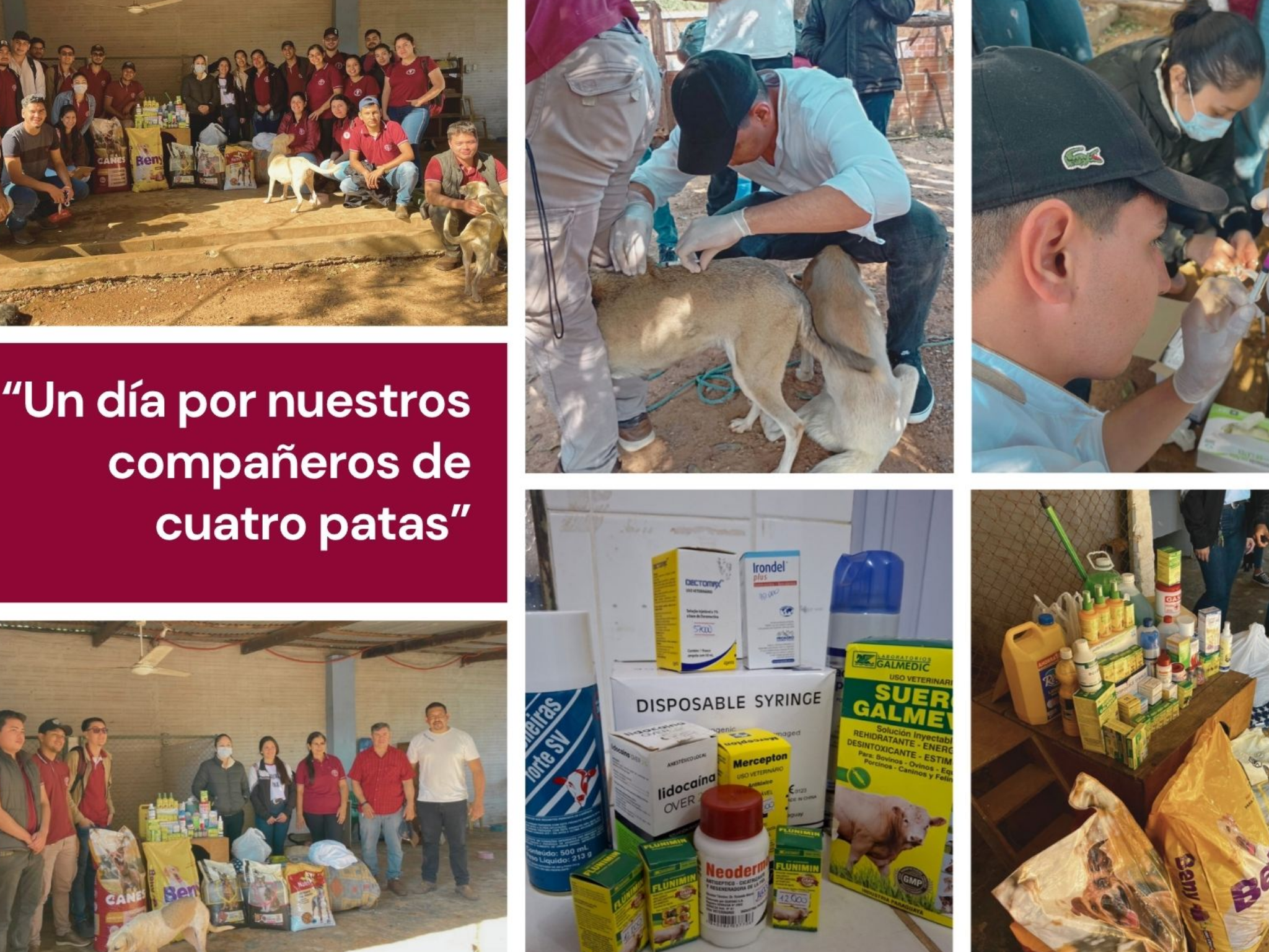 REFUGIO DE ANIMALES, HOGAR DE ANCIANOS Y BOMBEROS RECIBIERON APOYO DE ESTUDIANTES DE LA FCV UNA CONCEPCIÓN