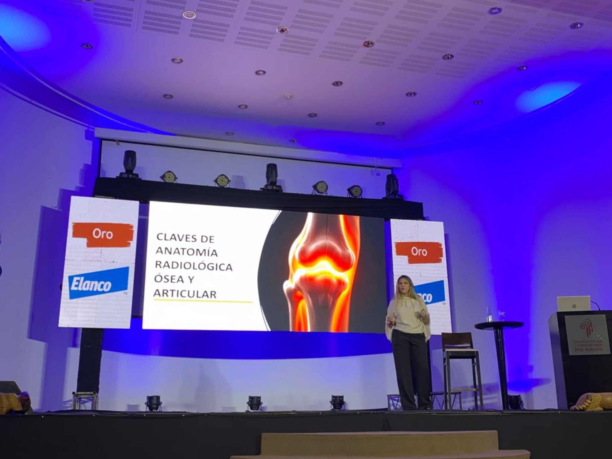 DOCENTE DE LA FCV-UNA PARTICIPÓ COMO DISERTANTE EN EL CONGRESO INTERNACIONAL VETERINARIO DEL IGUAZÚ