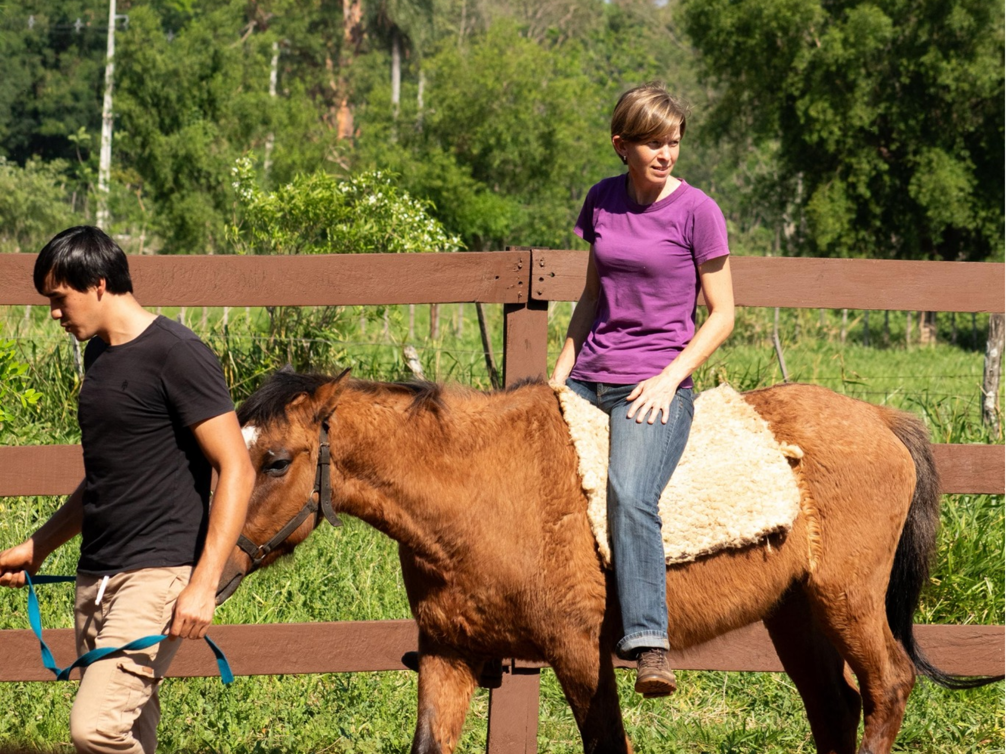 FCV-UNA IMPULSA FORMACIÓN AVANZADA EN COMPORTAMIENTO EQUINO CON DIPLOMADO INTERNACIONAL