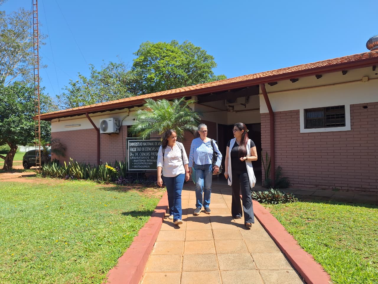 FCV-UNA Y LA FMV-UNESP AVANZAN EN PROPUESTAS DE COOPERACIÓN E INTERCAMBIO