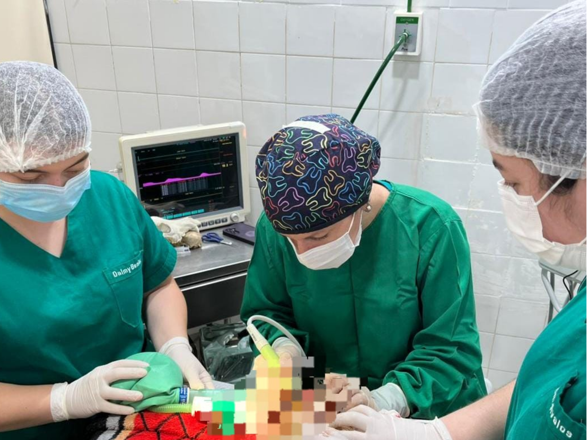 PRÁCTICAS QUIRÚRGICAS FORTALECEN LA FORMACIÓN DE ESTUDIANTES DE VETERINARIA EN SAN ESTANISLAO