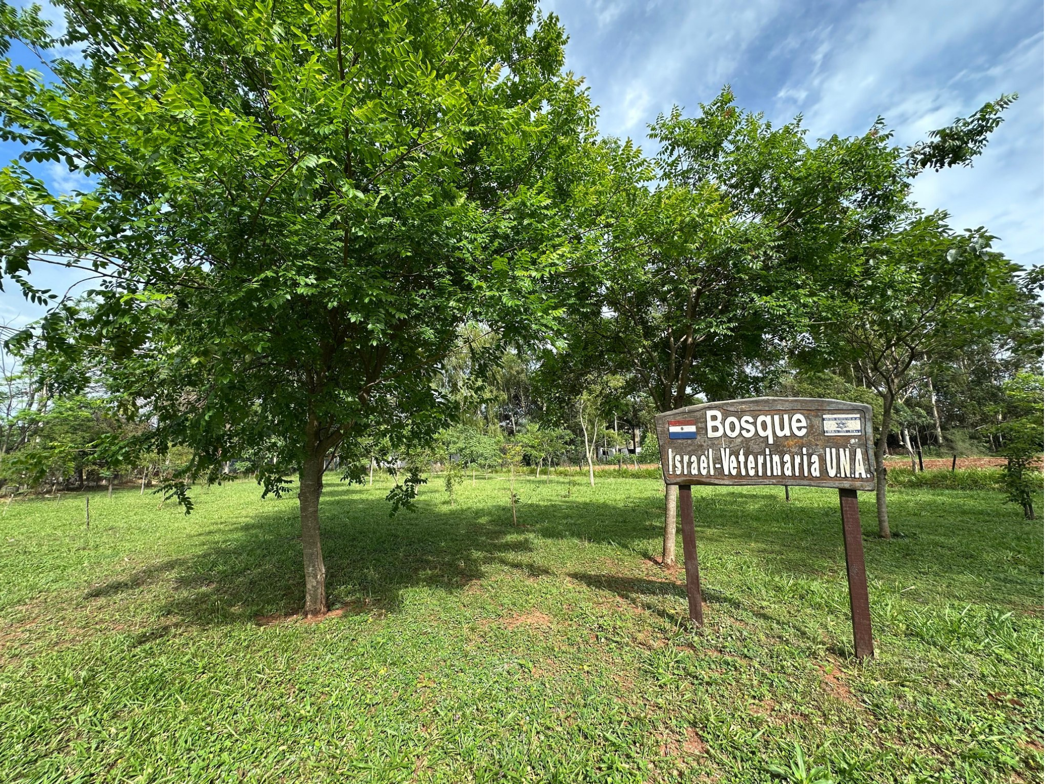 CASI UNA DÉCADA DESPUÉS, EL BOSQUE “ISRAEL – VETERINARIA UNA” SIGUE CRECIENDO Y FLORECIENDO DENTRO DE LA FCV