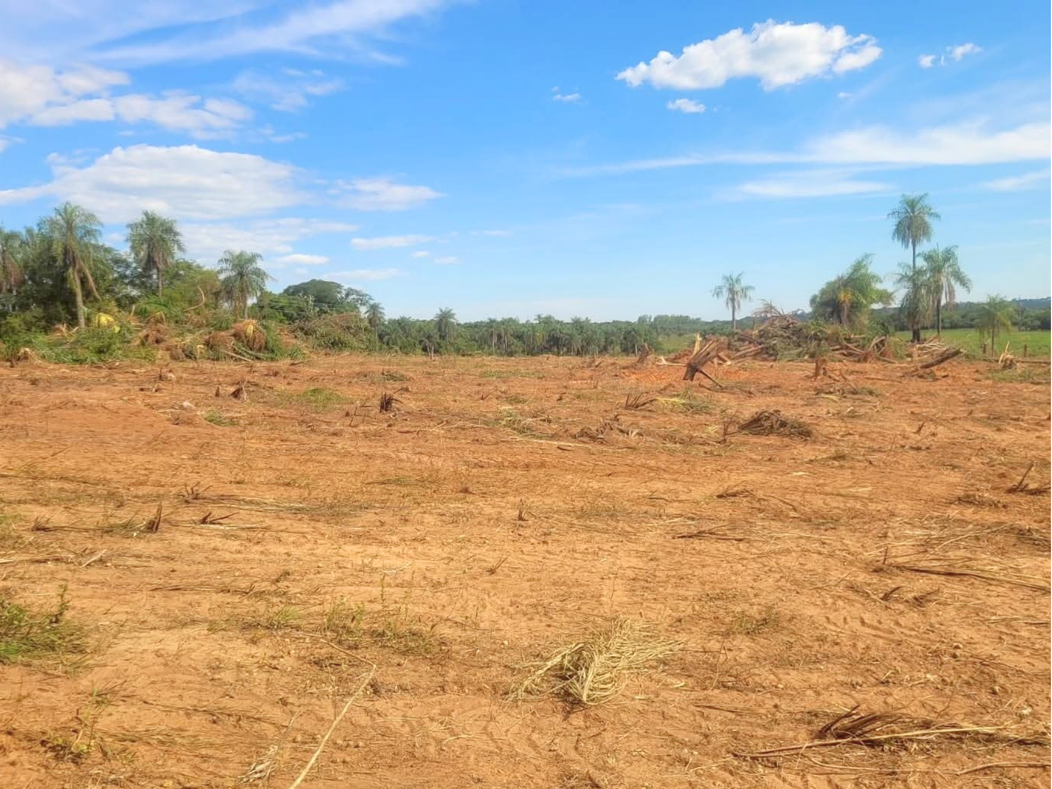 LA FCV-UNA FILIAL CAAZAPÁ INICIA TRABAJOS DE ADECUACIÓN DE SU PREDIO PARA FUTURAS PARCELAS EXPERIMENTALES