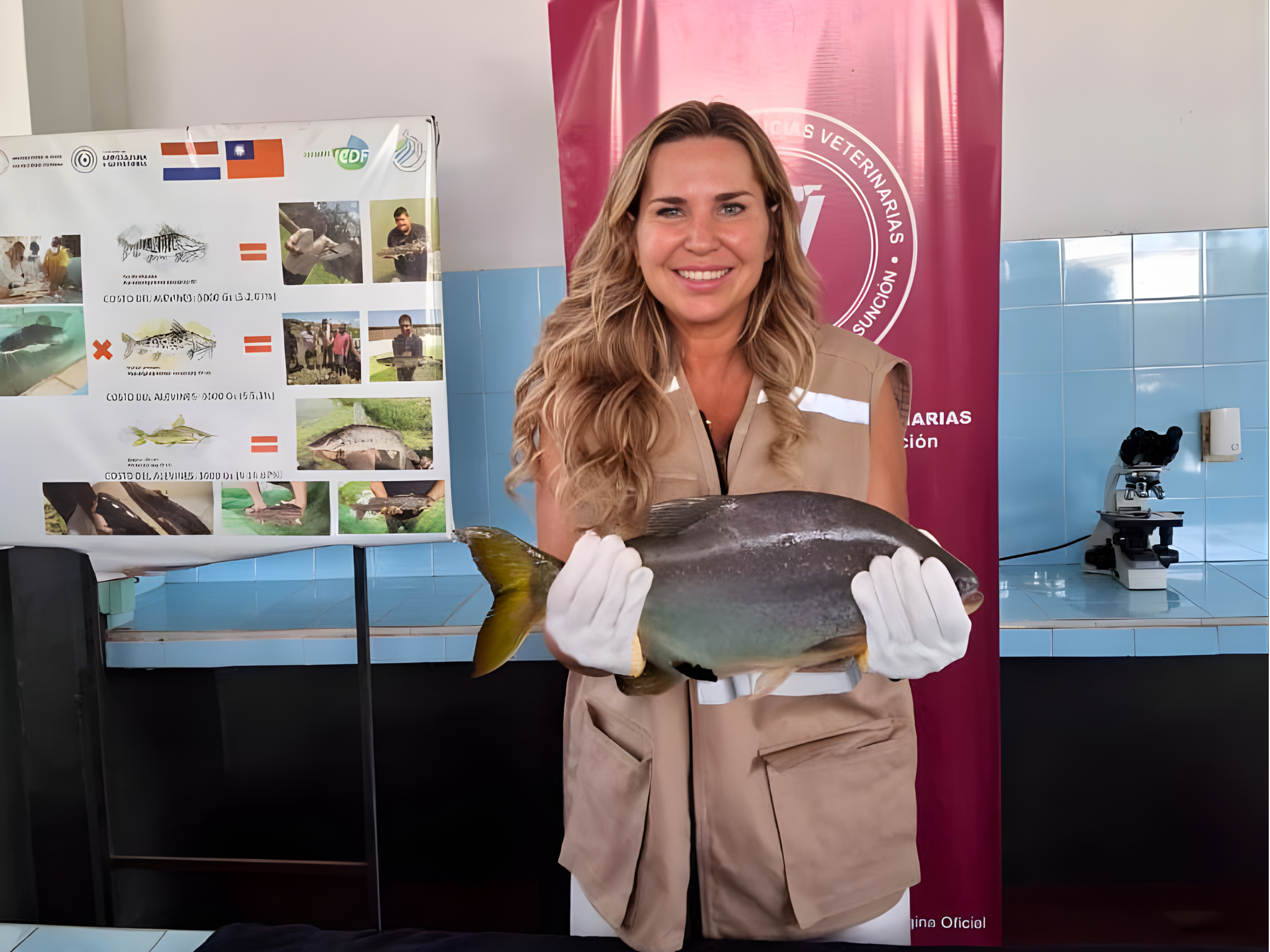 FCV-UNA IMPULSA LA REPRODUCCIÓN ARTIFICIAL DE ESPECIES NATIVAS – PACÚ (PIARACTUS MESOPOTAMICUS)