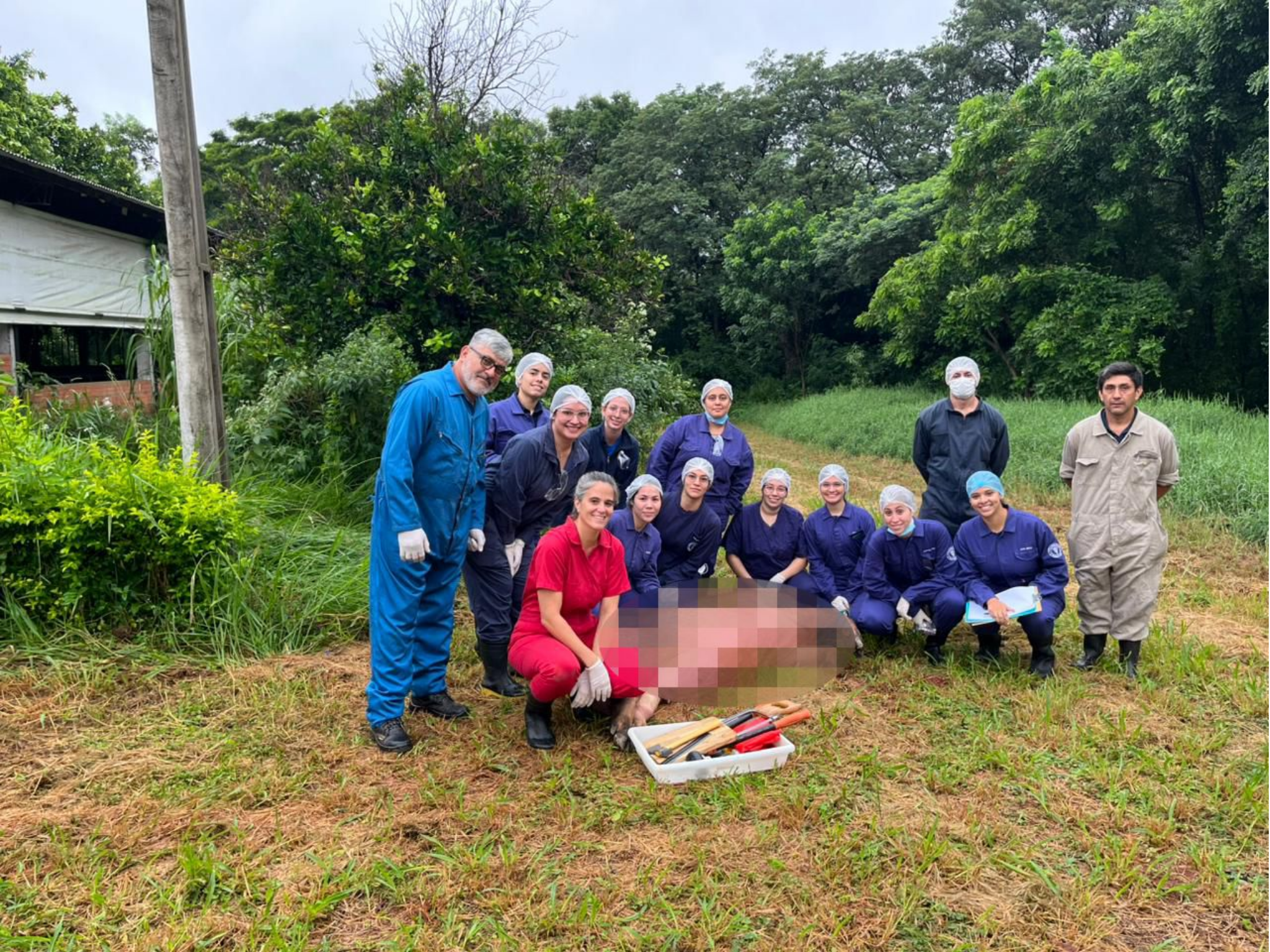 ESTUDIANTES DE SEXTO CURSO REALIZAN NECROPSIA EN LA DIVISIÓN DE GANADO PORCINO DE LA FCV UNA