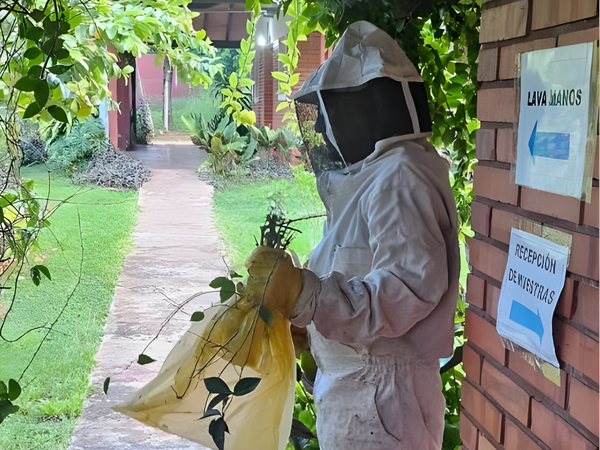 REUBICACIÓN SEGURA DE UN NIDO DE AVISPAS EN LA FCV UNA