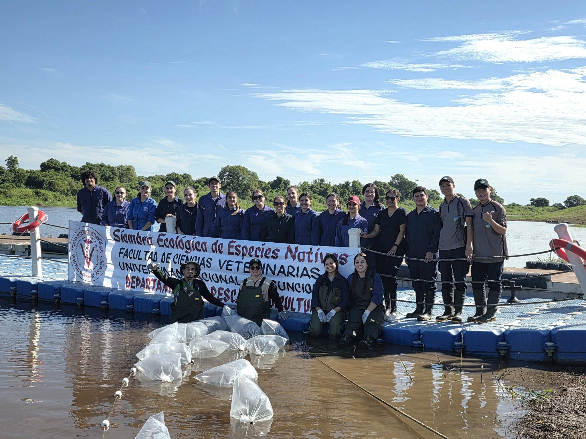 FCV-UNA REALIZÓ SIEMBRA ECOLÓGICA DE 46.000 ALEVINES DE PECES NATIVOS EN EL RÍO PARAGUAY