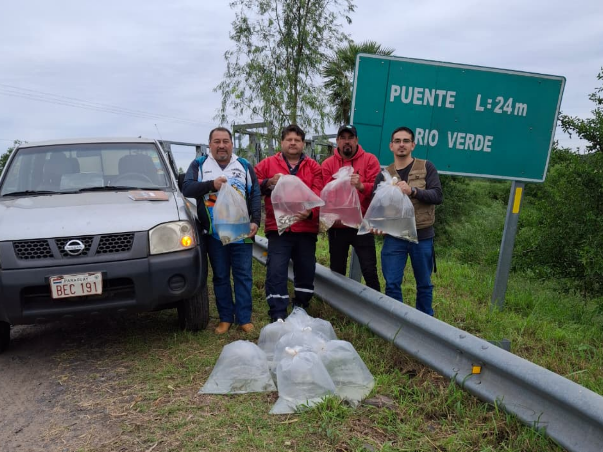 FCV UNA REALIZA SIEMBRA DE 1.800 ALEVINES EN EL RÍO VERDE DE VILLA HAYES PARA LA REPOBLACIÓN DE PECES NATIVOS