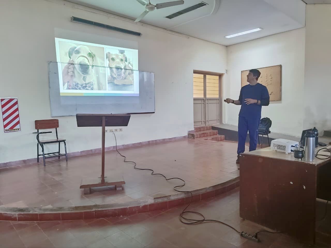 NEUROANATOMÍA DE ANIMALES DOMÉSTICOS: CLASE MAGISTRAL EN LA FCV DE LA UNA