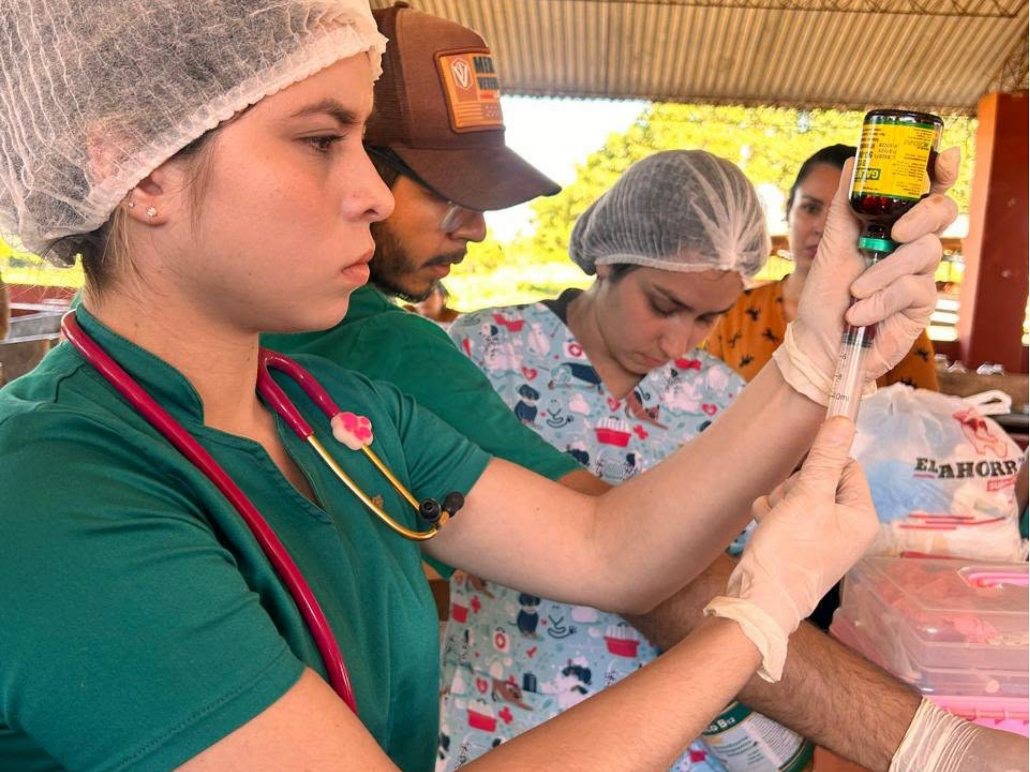 DIVISIÓN DE GANADO EQUINO DE LA FCV-UNA RECIBE DONACIÓN DE VACUNAS Y MEDICAMENTOS