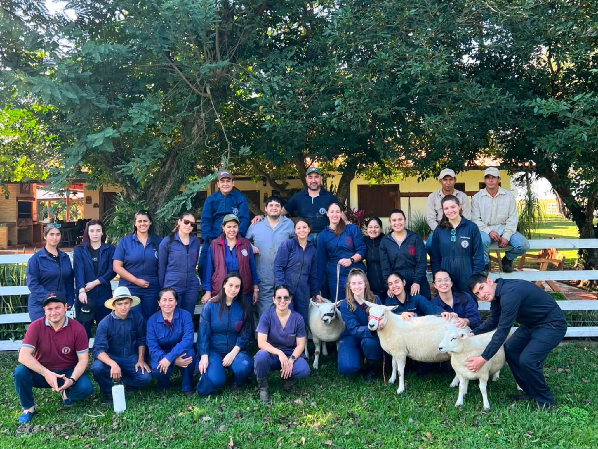 ESTUDIANTES DE LA FCV UNA – FILIAL MISIONES REALIZARON SALIDA DE CAMPO SOBRE PRODUCCIÓN OVINA Y CAPRINA CON ÉNFASIS EN MANEJO Y MEJORAMIENTO GENÉTICO OVINO